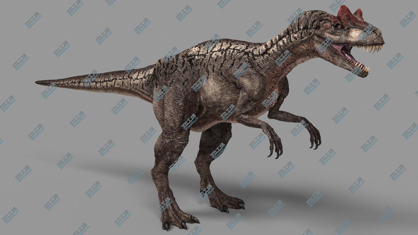 images/goods_img/20210319/3D Allosaurus(1)/3.jpg